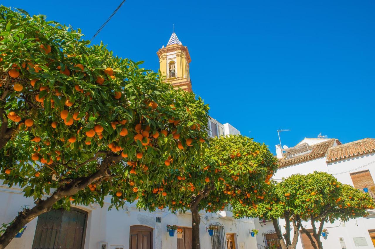 Escape To Estepona Luaran gambar