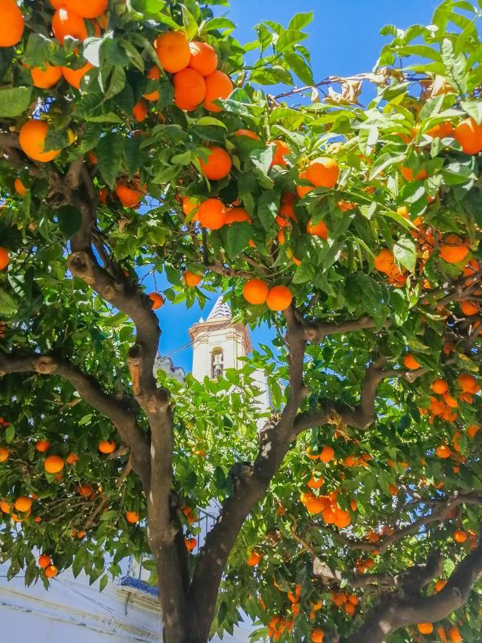 Escape To Estepona Luaran gambar