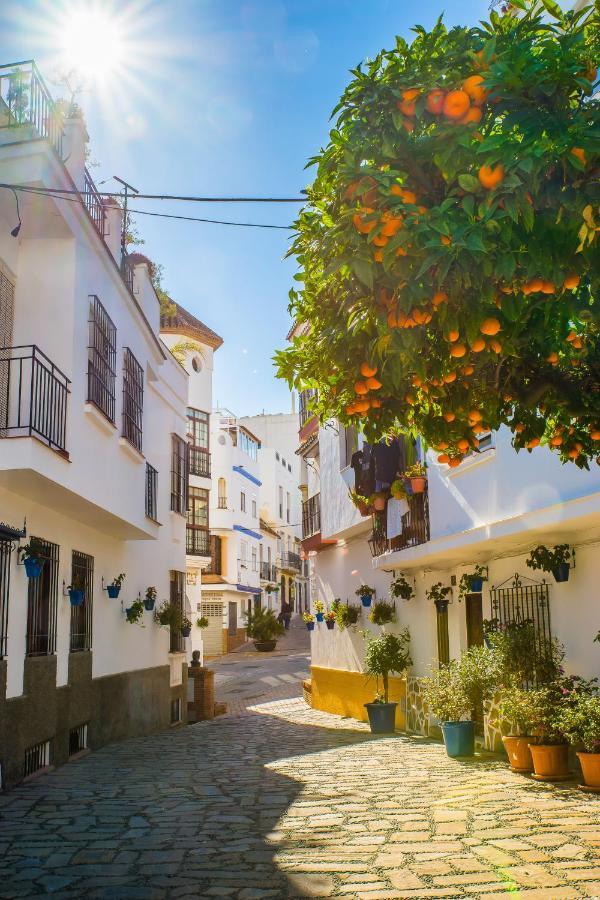 Escape To Estepona Luaran gambar